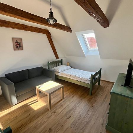 Apartmany Statek Bezdedice Hostomice Dış mekan fotoğraf